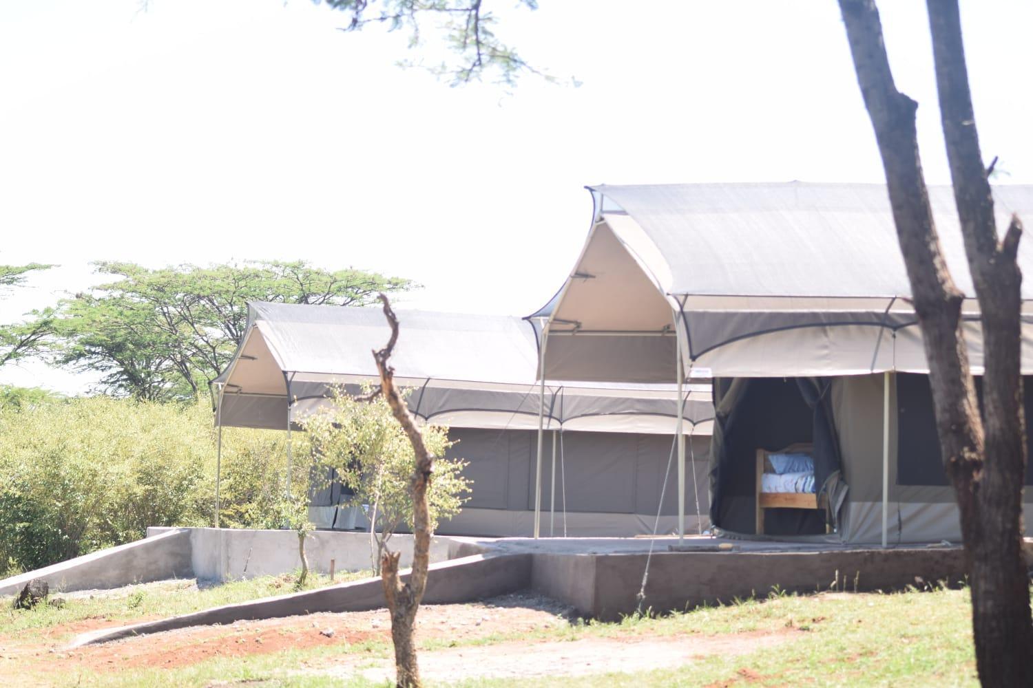 Bed and Breakfast Maasai Mara Safari Camp In Kenya Sekenani Exteriér fotografie